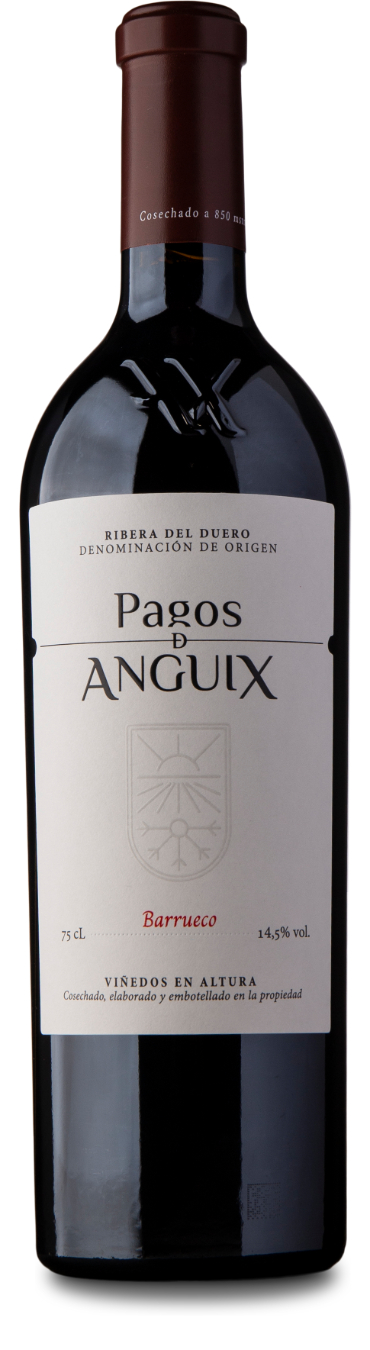 Rødvin: Pagos d’Anguix, Barrueco 2021, Ribera del Duero
